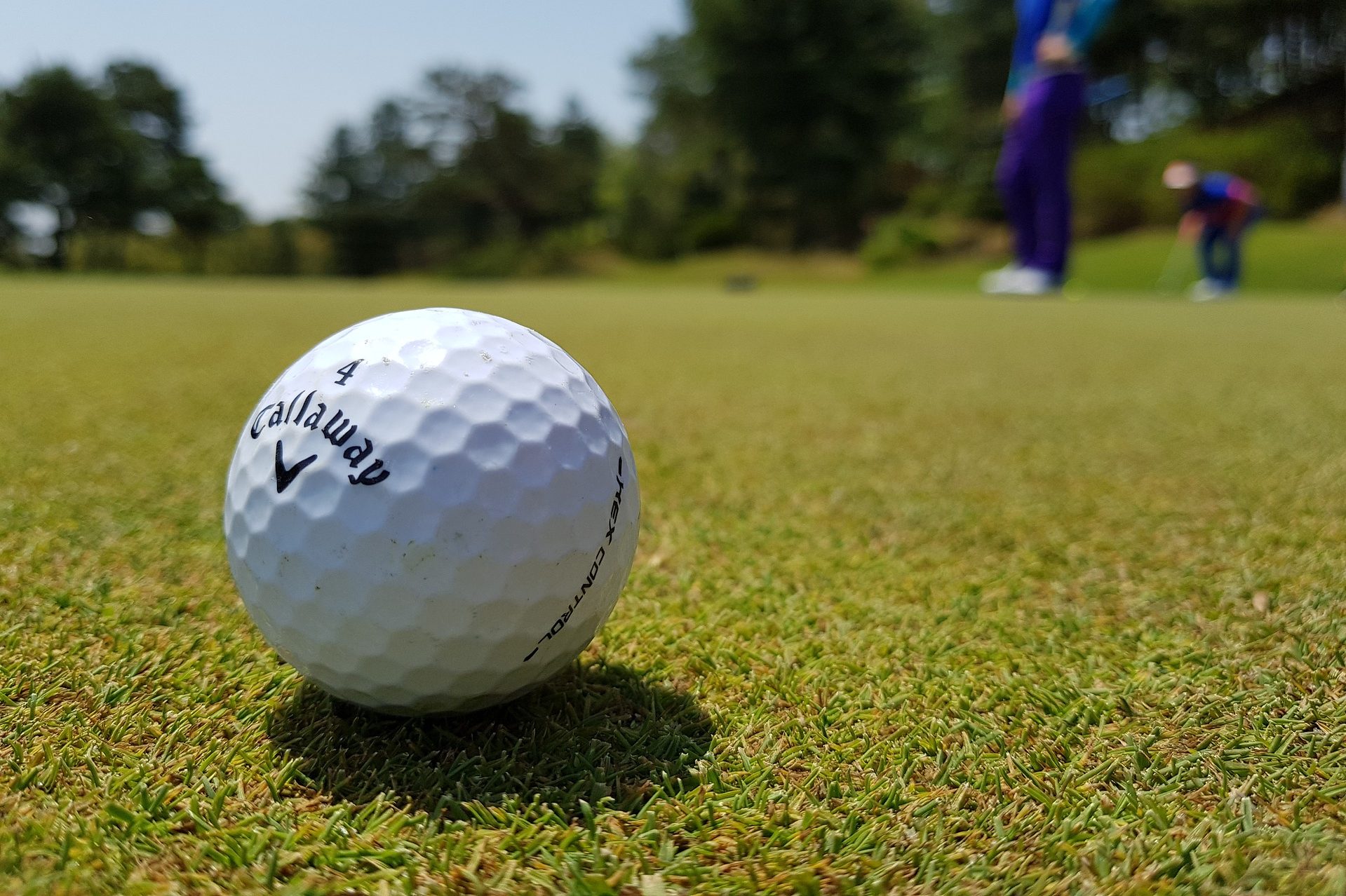 cropped-golf-3216250_1920.jpg