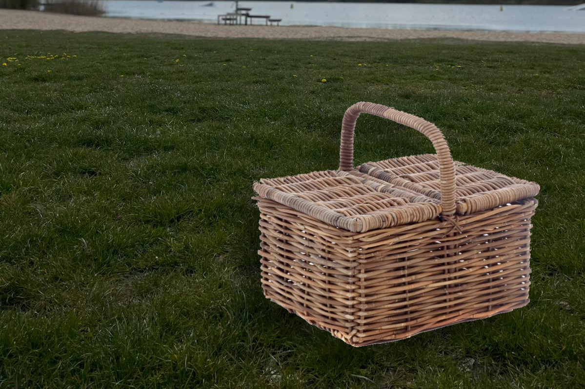 cropped-picknick.png